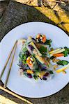 Colourful summer rolls with vegetables (Asia)