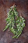 Fresh sprigs of rosemary on a metal surface