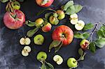 Assorted apples with leaves on a slate platter