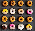 Assorted doughnuts in rows