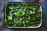 Fresh parsley in an enamel dish