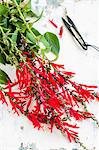 Fresh pineapple sage with flowers