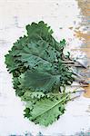 Fresh kale leaves on a wooden table