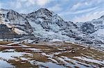 Kleine Scheidegg, Jungfrau region, Bernese Oberland, Swiss Alps, Switzerland, Europe