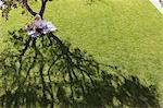 Businesswoman working on blanket below tree in sunny yard