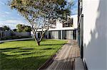 Sunny modern, luxury home showcase exterior yard with tree