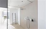 Modern minimalist luxury home showcase interior bathroom shower