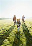 Portrait young family bike riding in sunny park grass