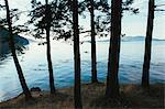 Man sea kayaking in the distance near San Juan Islands, Washington, USA.