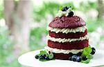 Stacked red velvet cake with whipped cream and blueberries, Irish Hollow, Galena, IL.
