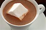 Overhead shot of hot chocolate served with large marshmallow, English Meadows Inn, Kennebunk, ME.