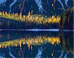 Detail of mountainside with colorful larch trees reflected in Braies Lake in autumn in the Prags Dolomites in Bozen Province, South Tyrol, Italy