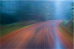 Blurred motion of driving on a wet paved road through the forest at dawn in autumn at Neuschoenau in Bavaria, Germany