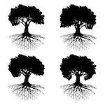 Illustration Collection silhouette tree with roots on a white background.