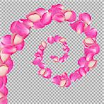 Spiral of flying rose petals. Realistic vector pink big petals on transparentt background.