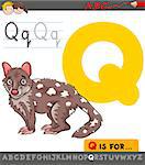 Educational Cartoon Illustration of Letter Q from Alphabet with Quoll Animal Character for Children