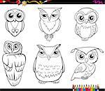 Black and White Cartoon Illustration of Owl Birds Animal Characters Set Coloring Page