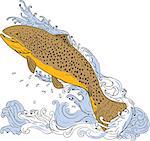 Drawing sketch style illustration of a brown trout fish swimming up on a turbulent water viewed from the side set on isolated white background.