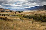 An image of the Lake Pukaki in New Zealand