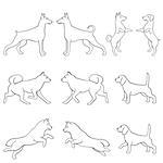 Set of ten hand drawing dog vector outlines over white background