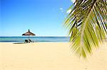 Beach with palm tree, loungers and parasol, Mauritius