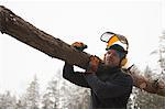 Logger carrying log, Tammela, Forssa, Finland