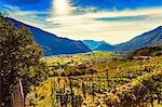 View from vineyards towards valley and mountain range