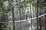 Woman walking across Capilano suspension bridge, rear view, Vancouver, Canada