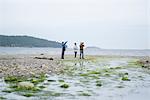 Father and sons taking photographs on beach, Pacific Rim National Park, Vancouver Island, Canada