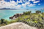 Plants and rocks by blue sea, Florianopolis, Santa Catarina, Brazil