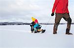 Father pulling sons along on sledge in snow covered landscape, low section