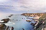 Sea with light house in distant background, Point Arena, California, US