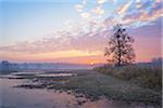 Wetlands Landscape at Sunrise in February in Hesse, Germany