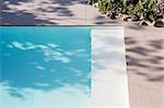 Sunny reflection of tree in blue swimming pool