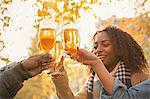 Friends toasting beer glasses outdoors