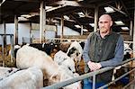 Farmer and herd of cows in a cowshed.