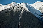 View of beautiful snow covered mountain and forest