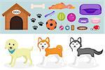 Dogs stuff icon set with accessories for pets, flat style, isolated on white background. Domestic animals collection with a Husky, akita inu, lablador. Puppy toy. Vector illustration, clip art