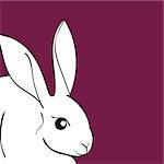 Easter white Rabbit animal cartoon. Vector illustrator Easter Bunny.