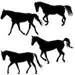 Set silhouette of black mustang horse vector illustration.