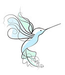Vector illustration of a hummingbird. Bird on a white background