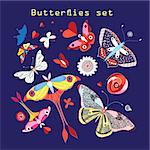 Vector set of various beautiful butterflies on a dark blue background