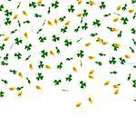 St. Patrick s Day background. Green leaves clover and gold coins fall on white background. Traditional Irish symbols of good luck and success. Vector illustration