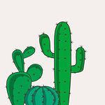 Set vector illustration of a cactus in the background, desert plants