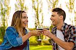 Shot of a beautiful couple on a picnic and making a toast