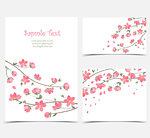 Vector decoration branches with flowers, spring blossom Sakura, Set of greeting cards