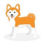 Akita Inu breed dog icon, flat, cartoon style. Cute puppy isolated on white background. Vector illustration, clip-art