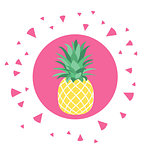 Vector illustration of tropical fruit pineapple. Fruit symbol