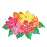 Vector illustration hibiscus flower. Background with tropical flowers