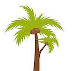 Palm tree. icon flat, cartoon style. Summer, beach concept isolated on white background. Vector illustration, clip-art